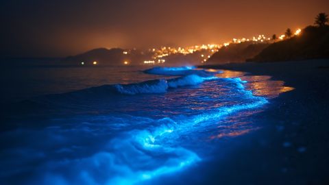 Si tienes la oportunidad de ver olas bioluminescentes, disfrútalo en vivo y olvídate de las cámaras, porque es probable que no capten el efecto.