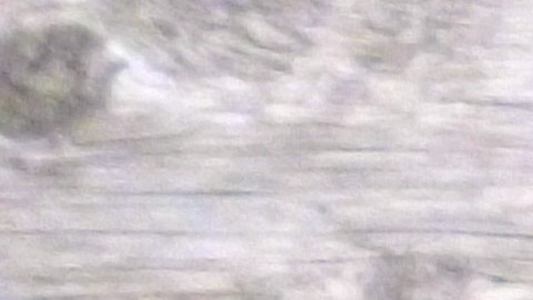 El perejil tiene potentes propiedades espirituales.