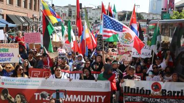 Cientos de angelinos protestan en el centro de LA.