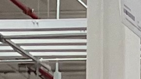 Los anaqueles de Sam's Club están repletos de productos que puedes comprar al mayor, a cambio de mejores precios.