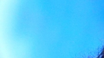 Rihanna y Kendrick Lamar