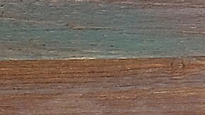 El horóscopo de algunos signos predice fortuna el 14 de febrero.