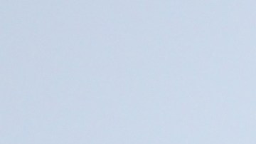 El 10 de febrero se honra la memoria de figuras religiosas.