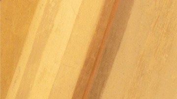 El 11 de febrero se celebra a Nuestra Señora de Lourdes.