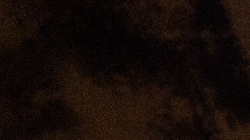 El santoral del 18 de febrero recuerda la vida de personas que dejaron huella con su fe.