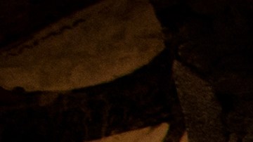 El santoral recuerda la vida de destacadas figuras para la Iglesia.