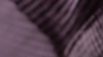 Los ocho venezolanos acusados por participar en una red de tráfico sexual enfrentan múltiples cargos por delitos graves.