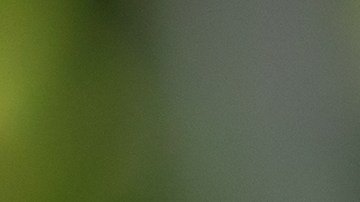 El primer iPhone plegable se espera que incorpore un panel fabricado por Samsung