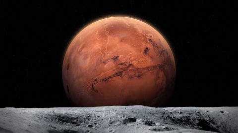 El fenómeno viral del cuadrado en Marte atrajo la atención de Elon Musk, quien sugirió enviar astronautas para investigar.