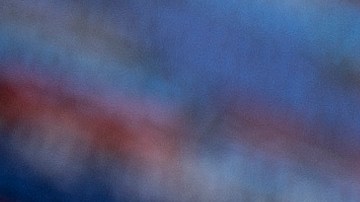 Activistas protestan contra las políticas del presidente Donald Trump y su aliado Elon Musk frente al Capitolio en Washington D.C.