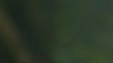 Shrek ya no es solo el ogro gruñón del pantano, sino que ha evolucionado hasta convertirse en un padre de familia responsable.