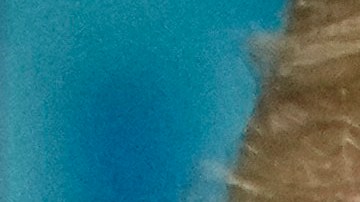 Trump acusó al gobierno de México de aliarse con los cárteles de narcotráfico.