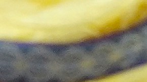 El presidente Donald Trump sostiene el documento de la comisión de la directora de Inteligencia Nacional, Tulsi Gabbard.