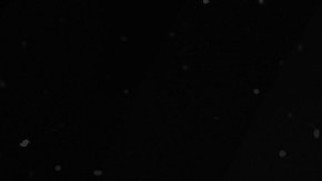 Venus se pone retrógrado en Aries en marzo 2025.