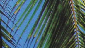 Alessandra Rosaldo Eugenio Derbez