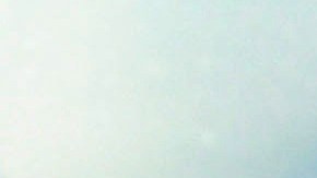 Yolanda Andrade Alejandro Gou