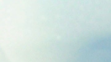 Yolanda Andrade Alejandro Gou