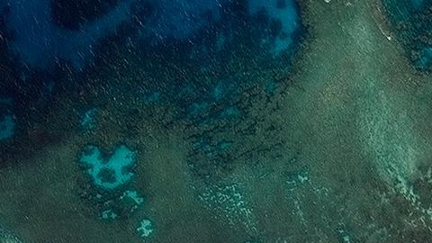 Terremoto de 7.1 frente a Tonga activa alerta de tsunami