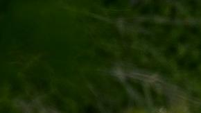 Un total de 66 migrantes viajaban en 2022 en el tráiler, en el que murieron 53.