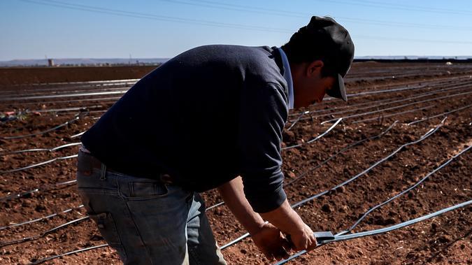 El sistema Aardvark Weather ofrece previsiones personalizadas que podrían revolucionar la agricultura con datos meteorológicos precisos y accesibles.