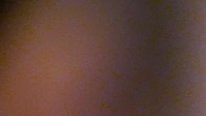 Trump y Putin hablarán sobre Ucrania el martes