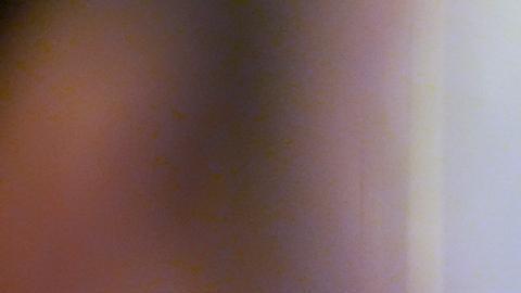 Trump y Putin hablarán sobre Ucrania el martes