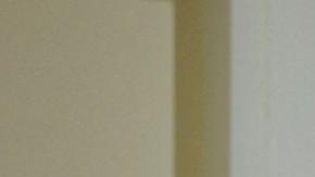 Musk reconoce que Tesla no saldrá "indemne" de los aranceles