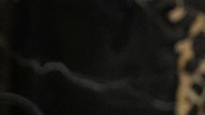 EE.UU. está "destruyendo" el "orden mundial", afirma Ucrania