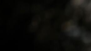 Francisco inicia Cuaresma, estable y sin crisis respiratoria