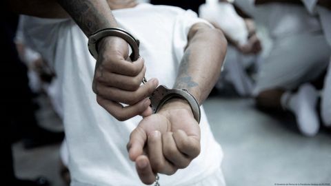 Oficiales de la policía salvadoreña escoltan a presuntos miembros de la pandilla venezolana Tren de Aragua, deportados por Estados Unidos a El Salvador.