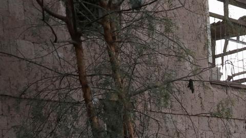 Hutíes denuncian serie de ataques contra aeropuerto de Yemen