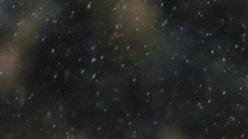 SEVILLA, 01/03/2025.- El entrenador del Real Madrid, Carlo Ancelotti, durante el partido de la jornada 26 de LaLiga EA Sports que Real Betis y Real Madrid han disputado este sábado en el estadio Benito Villamarín, en Sevilla. EFE/Raúl Caro