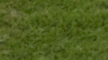 Stewards walk on the pitch before the start of World Cup group F soccer match between Morocco and Croatia at the Al Bayt Stadium in Al Khor, Qatar, Wednesday, Nov. 23, 2022. (AP Photo/Darko Vojinovic)