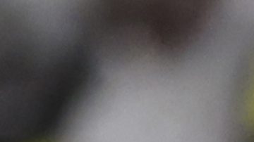 Al-Nassr's Cristiano Ronaldo, and Alex Telles, right, celebrate a goal against Al-Hilal during the Arab Club Champions Cup at King Fahd Stadium in Taif, Saudi Arabia, Saturday, Aug. 12, 2023. (AP Photo/Samah Zidan)