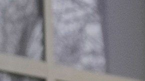 Andrew Tate vive actualmente en Miami, Florida.