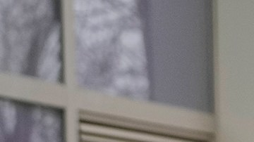 Andrew Tate vive actualmente en Miami, Florida.