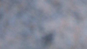 Mahmoud Khalil fue negociador durante la protesta estudiantil en la Universidad de Columbia.