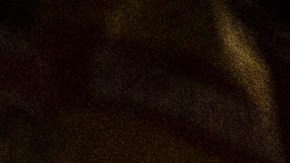 El Tren Maya recorre cinco estados mexicanos Chiapas, Tabasco, Campeche, Yucatán y Quintana Roo.