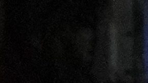 Un grupo de seguidores disfruta de un partido de la selección de Panamá.