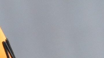 Pato O'Ward greets fans before an IndyCar auto race Sunday, Sept. 15, 2024, at the Nashville Superspeedway in Lebanon, Tenn. (AP Photo/Mark Humphrey)