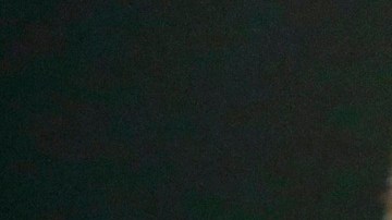 Tom Homan es el zar de la frontera de la Administración Trump.