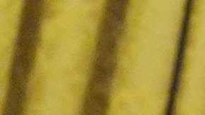 Trump firmó una orden para declarar el inglés como lengua oficial de Estados Unidos.