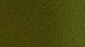 Fernando Gago acumula tres triunfos consecutivos con Boca Juniors.