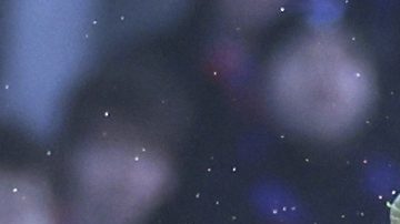 La patada de Liam Roberts se hizo viral en las redes sociales.