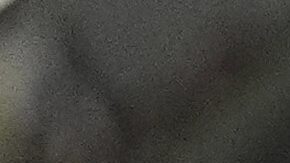 Aficionados de San Diego FC.