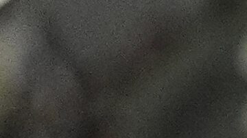 Aficionados de San Diego FC.