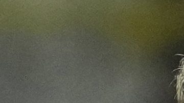 El Manchester United visitará tierras españolas.