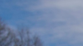 Tom Homan, zar de la frontera.