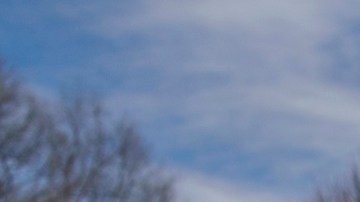 Tom Homan, zar de la frontera.