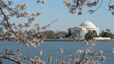 La orden de Trump toma control del gobierno local de Washington D.C, y crea un grupo federal para embellecer la capital.